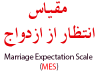 نرم افزار پرسشنامه انتظار از ازدواج Marriage Expectation Scale   MES